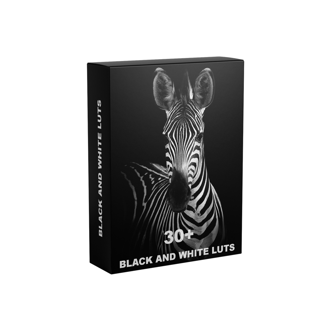 Black and White Collection LUTS 100+